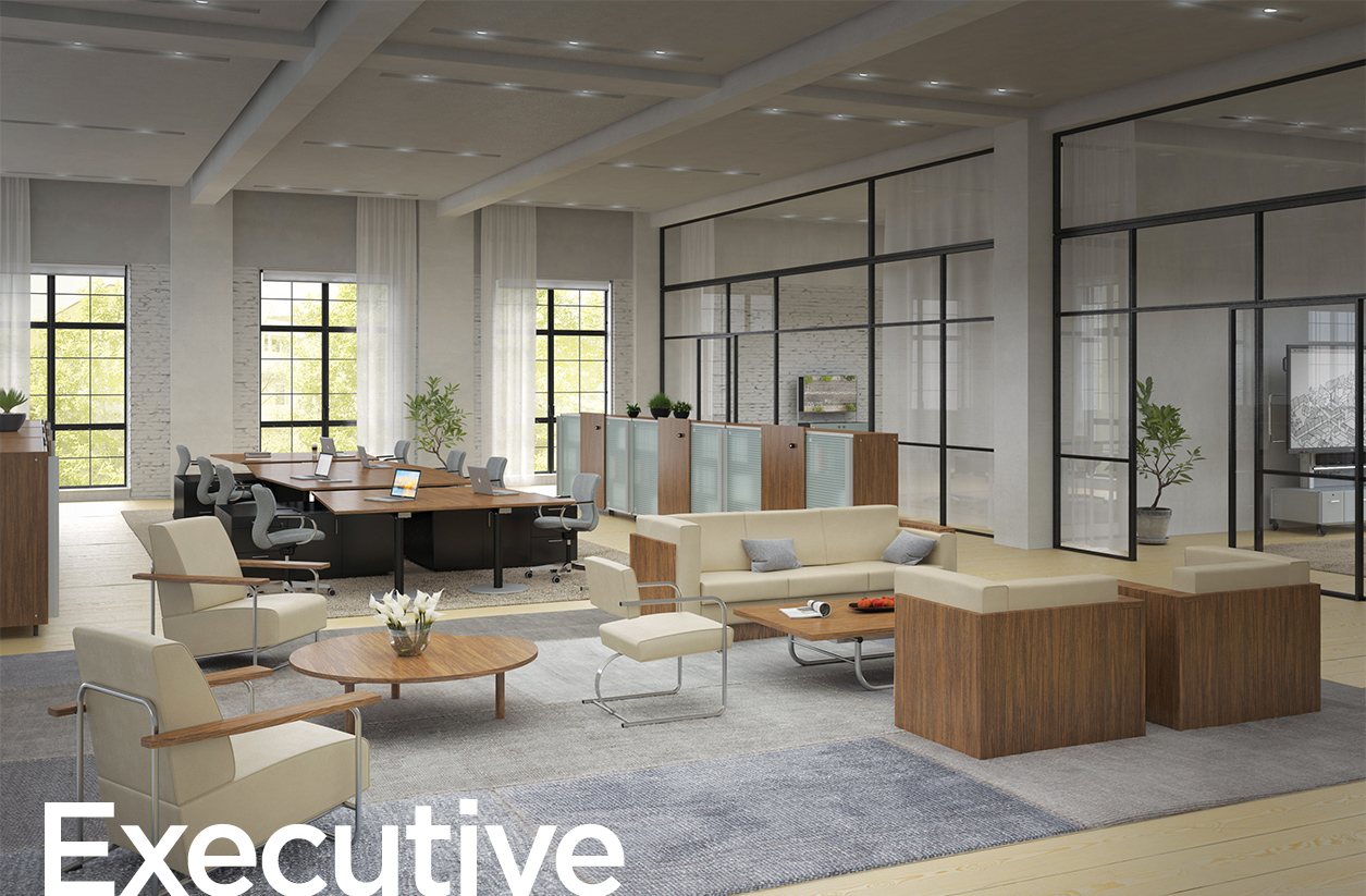Executive